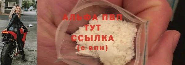прущие крисы Новодвинск