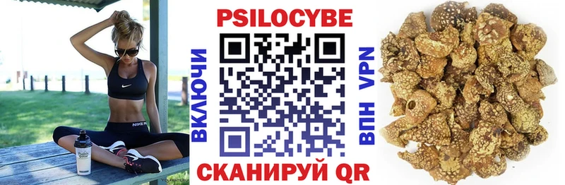 Псилоцибиновые грибы MAGIC MUSHROOMS Пудож